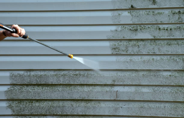 Best Mold Damage Repair  in Pine Bush, NY